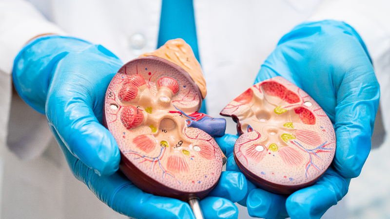 Семинар «Современные подходы к организации медицинской помощи пациентам с ХБП: опыт столицы»