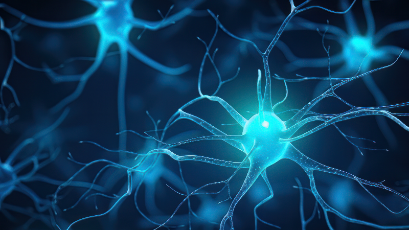 Вебинар «Неврологические расстройства: от патогенеза к персонализированному лечению» в рамках проекта «Московская неврология применение в практике клинических рекомендаций по диагностике и лечению заболеваний нервной системы»