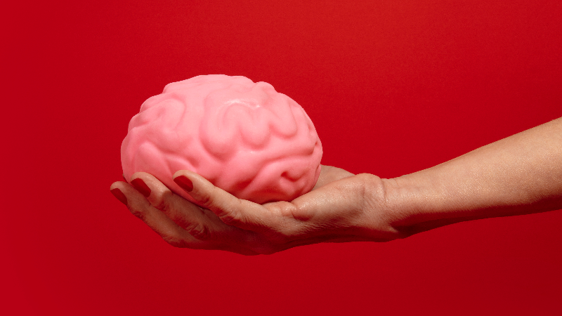 Школа «Болезни мозга», 15-й цикл