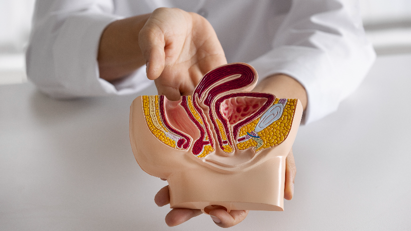 Вебинар «Повторная уретропластика при гипоспадии у детей при дефиците местных тканей. Трудный пациент»