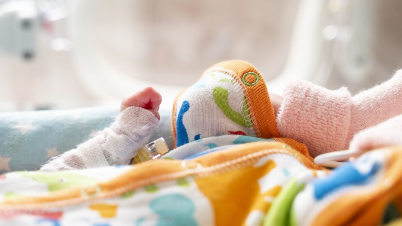 Научно-практическая школа  «Неонатология: инновации с позиций доказательной медицины»