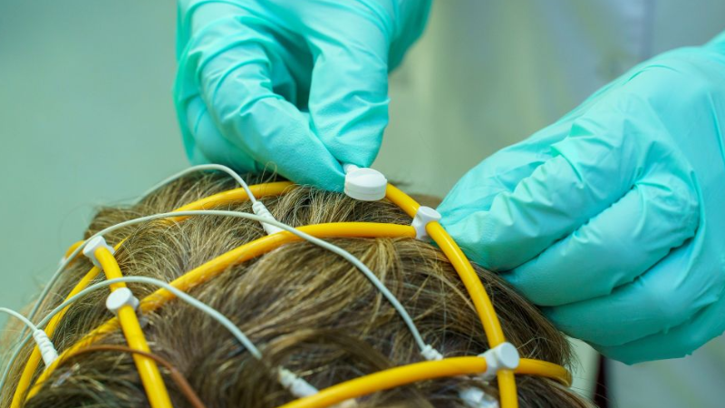 Школа «Болезни мозга», 16-й цикл