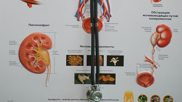 Научно-образовательный семинар «Редкое заболевание в клинической практике» в рамках проекта «Школа московского нефролога»