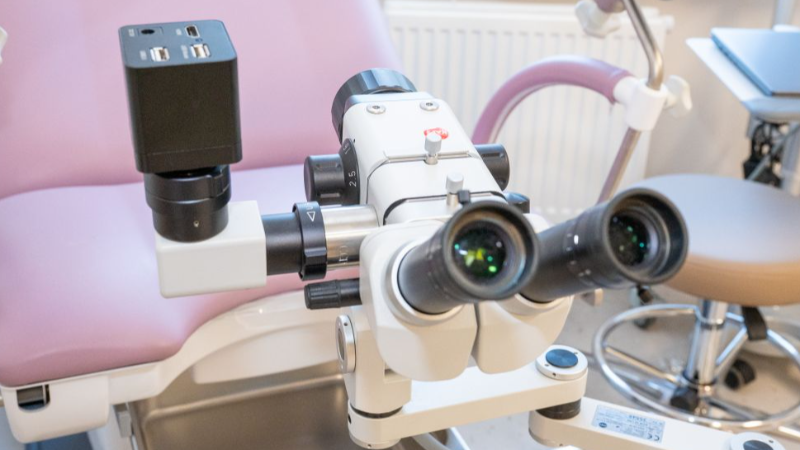 Школа критического мышления «Вагинальные выделения: кто виноват и что делать?»