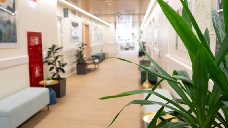 Школа московского ревматолога