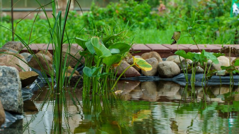 Вебинар «Внутренние схемы: мост к гармонии» в рамках цикла «Vs. Стигма» проекта «PSY-грамота»